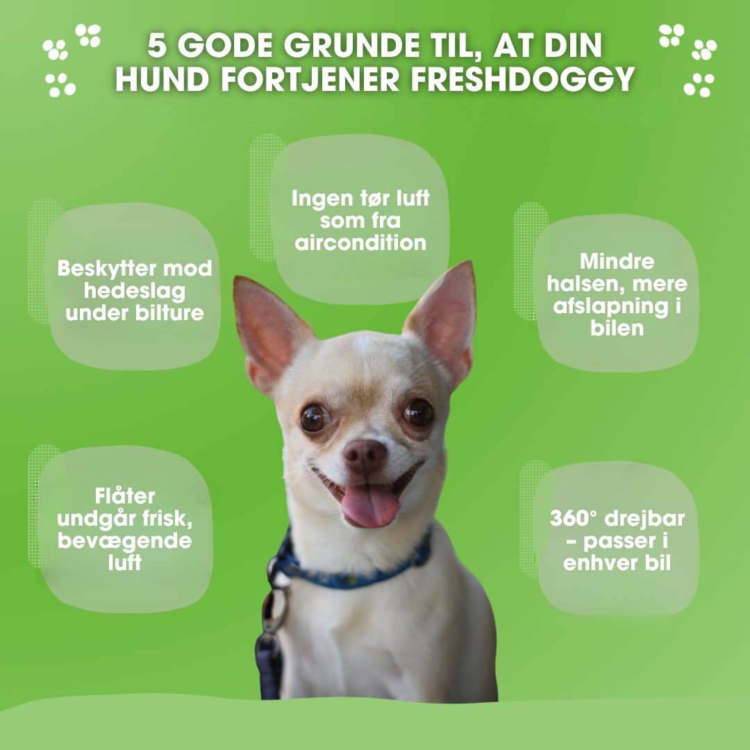 FreshDoggy™ - Vinder af travel gadget 2025