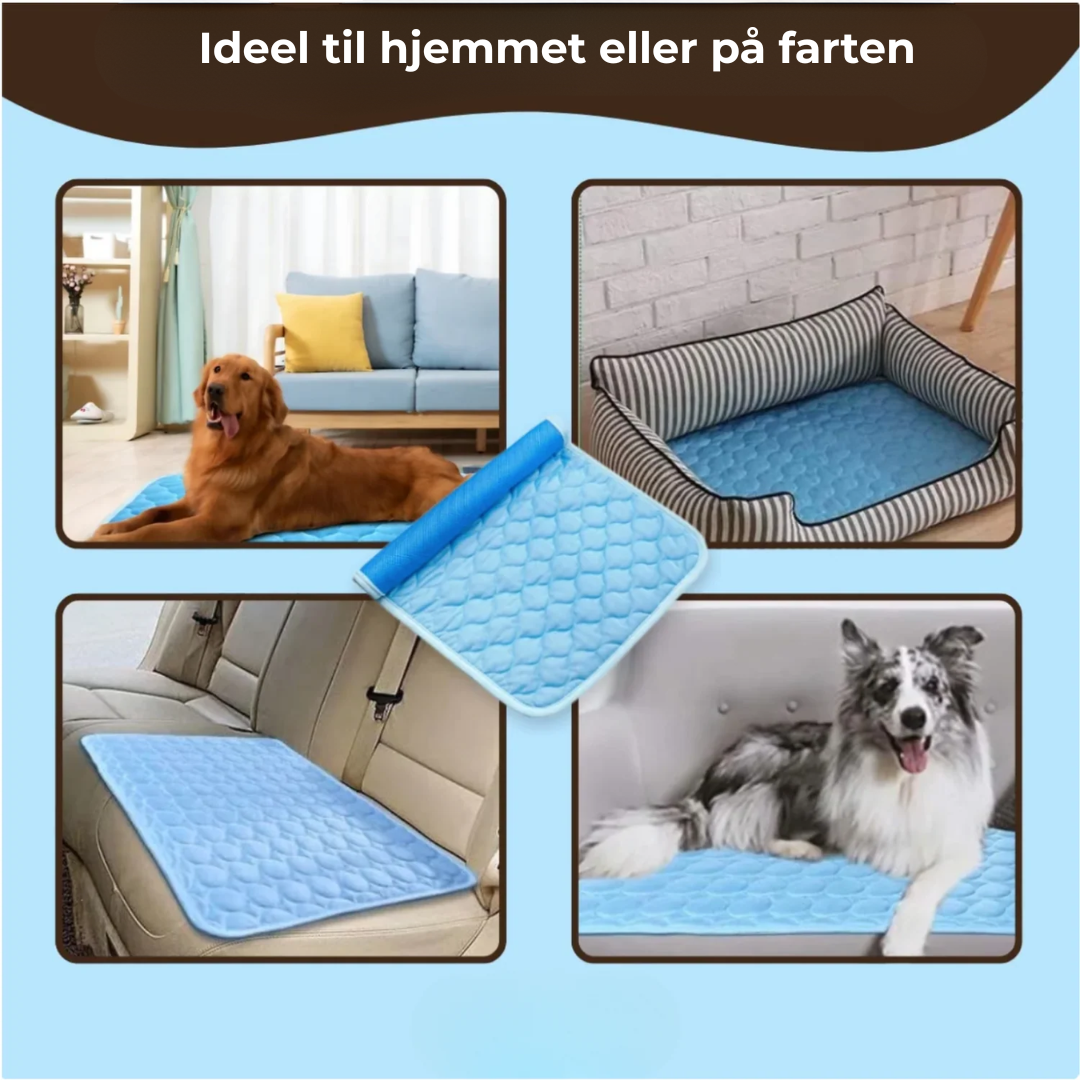 CoolMatte™ - Giv dit kæledyr en dejlig sommer!