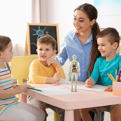 BodyQuest® - Læringsmodel af menneskekroppen til børn