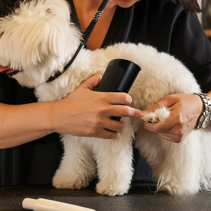 ShedGuard™ – Hundebørste der hurtigt fjerner løse hår