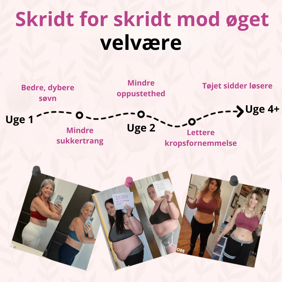 Nat–Fedtforbrænder til Kvinder