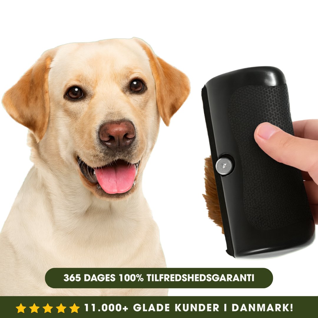 ShedGuard™ – Hundebørste der hurtigt fjerner løse hår