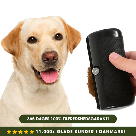 ShedGuard™ – Hundebørste der hurtigt fjerner løse hår