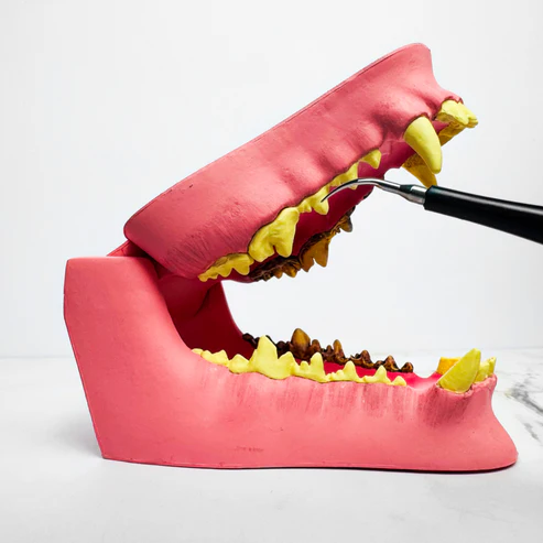 PetDental Pro™ - Forbedr din pelsede vens tandhygiejne derhjemme